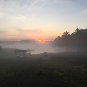 Meet your Posher, Catherine